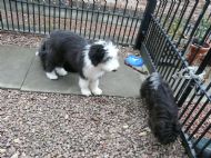What shall we do today Ebby?